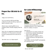 Email newsletter writing service